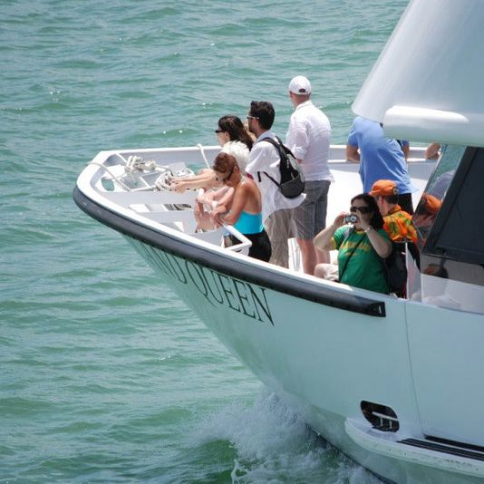 Miami Millionaire's Row Cruise & Bike Rental - Image 5