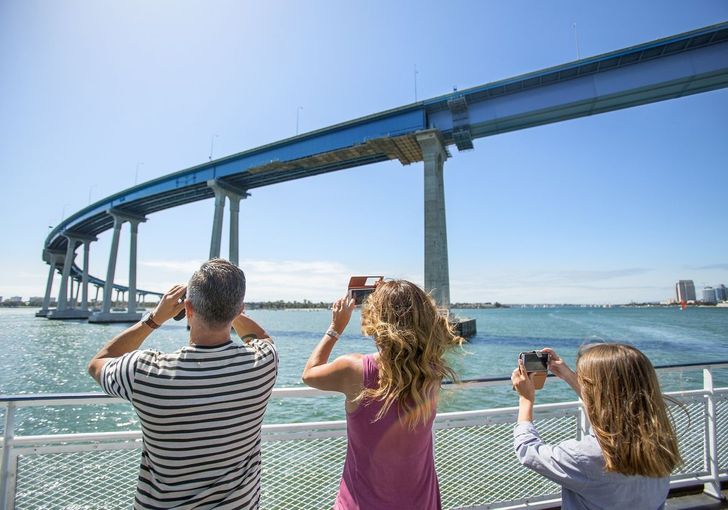 Summer Whale Watching & Dolphin Cruise in San Diego - Image 3