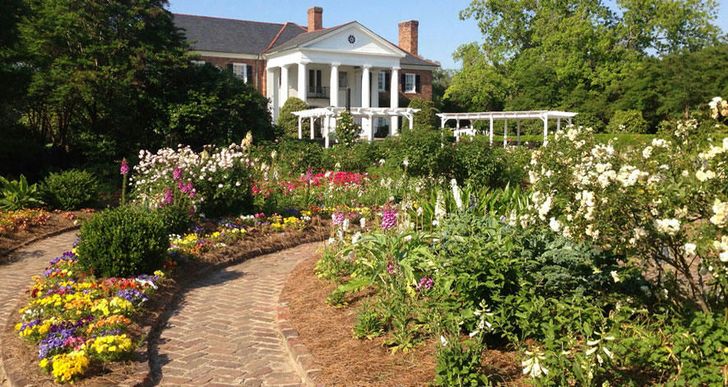 Charleston Harbor Tour and Boone Hall Plantation Tour - Image 3
