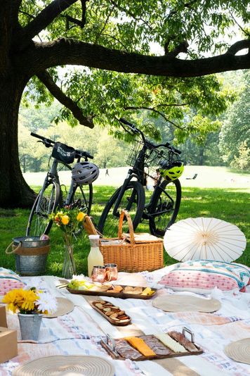 Private Central Park Bike Tour & Luxurious Picnic - Image 3