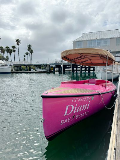 Private Pink Fantail Electric Boat in Alameda - Image 4