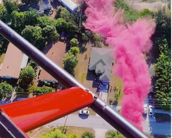 Helicopter Gender Reveal in Ft. Lauderdale - Image 1