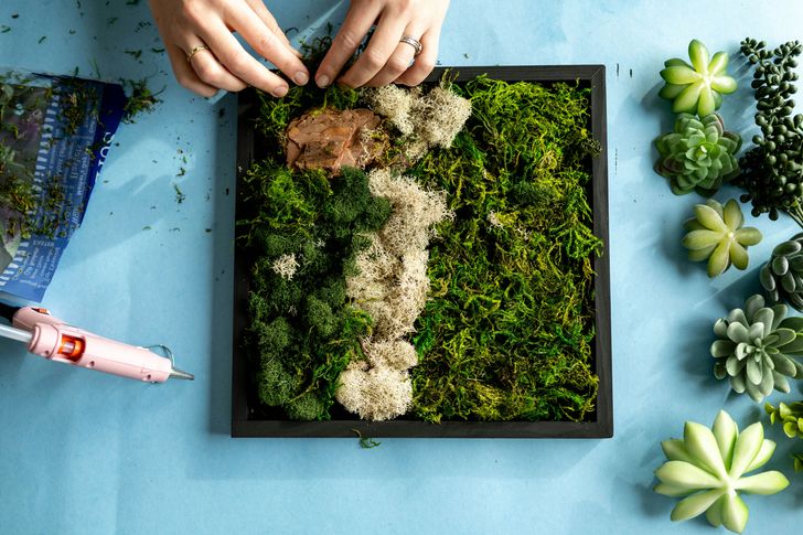 Moss Wall Art Kit - Image 3