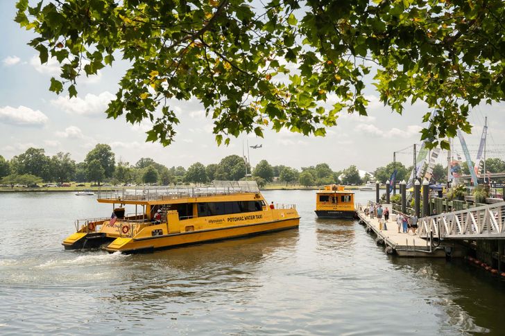Potomac River Cruise & Georgetown Walking Tour - Image 2