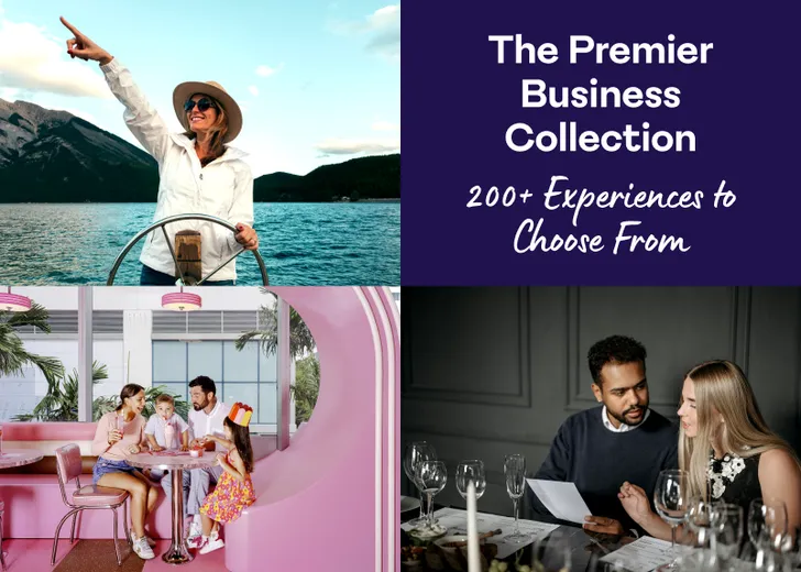 The Premier Business Collection