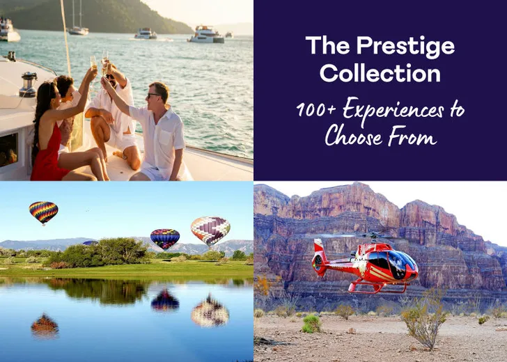 The Prestige Business Collection