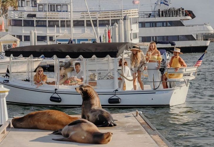 Private Luxury Cruise with Wine, Charcuterie & Sea Lions Spotting - Image 3