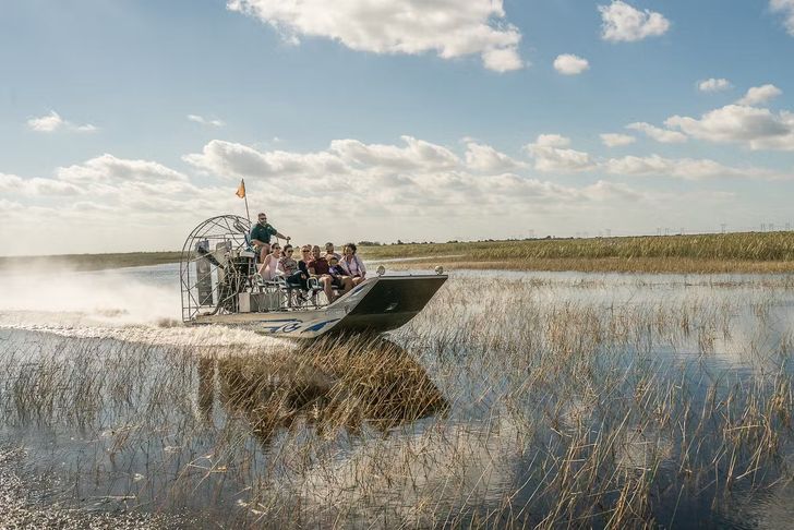 Everglades Airboat Tour & Animal Sanctuary Admission - Image 9