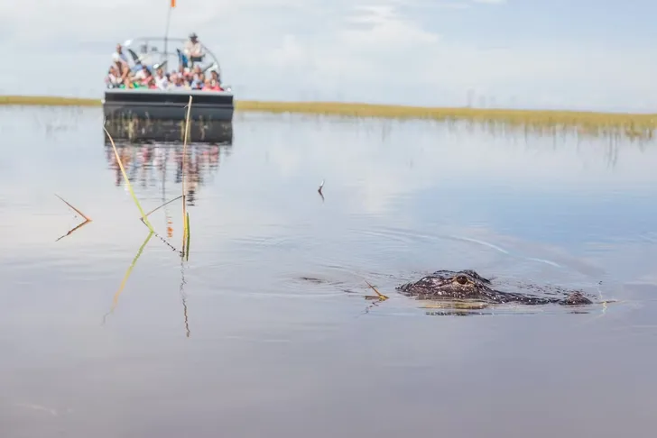 Everglades Airboat Tour & Animal Sanctuary Admission