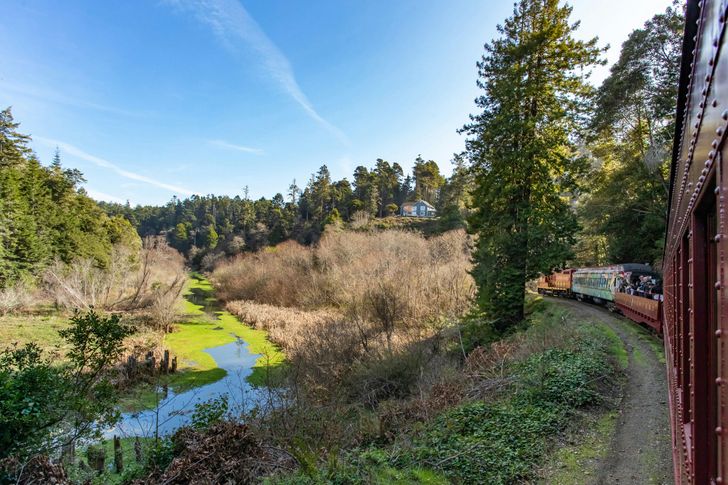 Pudding Creek Express Train Ride - Image 4