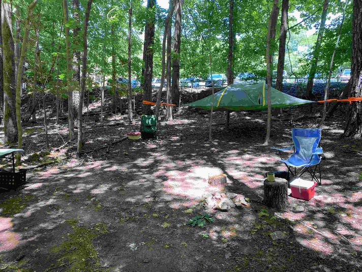Delaware Forest Escape Game with Go Ape - Image 2