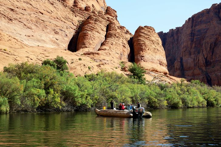 Colorado River and Horseshoe Bend Float Trip - Image 5