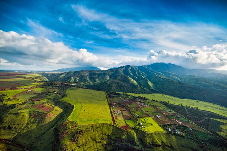 Romantic Proposal Oahu Helicopter Flight - Image 6