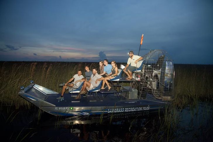 Gator Nighttime Airboat Tour