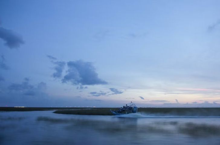 Gator Nighttime Airboat Tour - Image 4