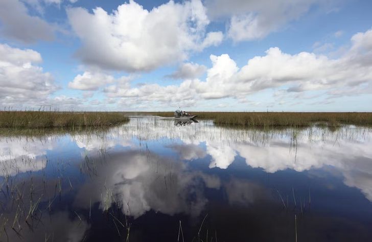 Private Everglades Airboat Tour & Animal Sanctuary Admission - Image 9