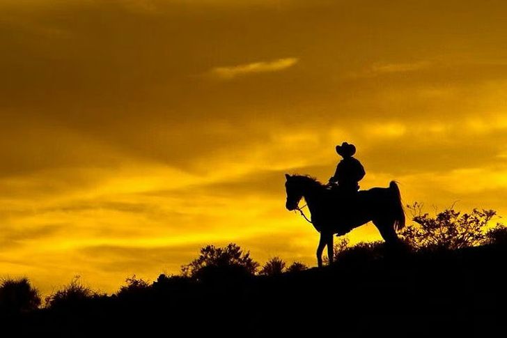 Wild West Sunset Horseback Ride with Dinner - Image 7