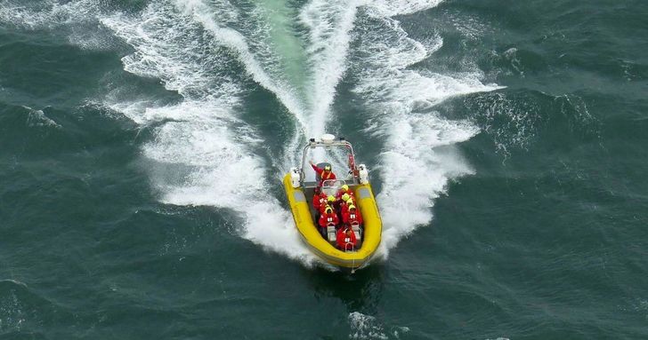Golden Gate & Bay Bridges Speedboat Tour - Image 2
