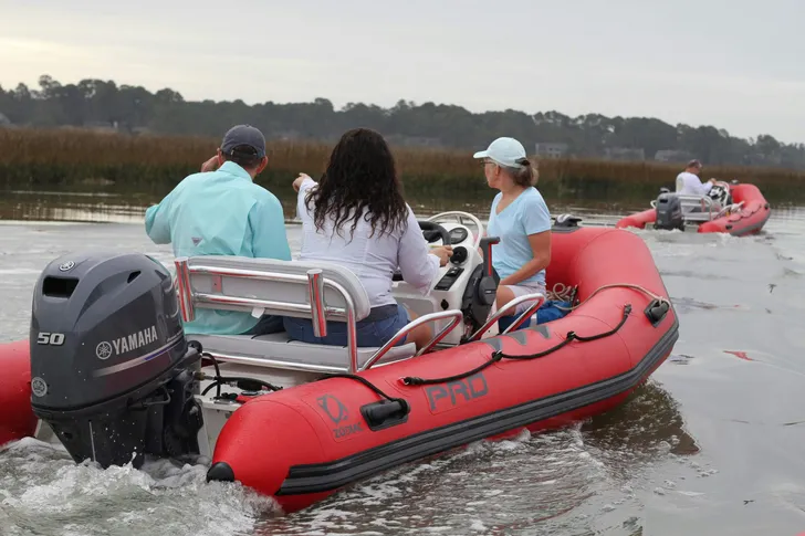 Hilton Head Dolphin Excursion by Mini Boat