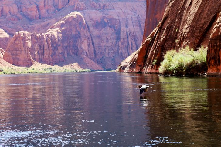 Colorado River and Horseshoe Bend Float Trip - Image 9