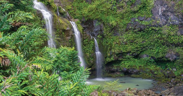 Road to Hana Adventure Tour with Lunch