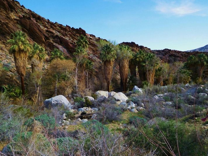 Indian Canyons Walking Tour by Jeep - Image 2