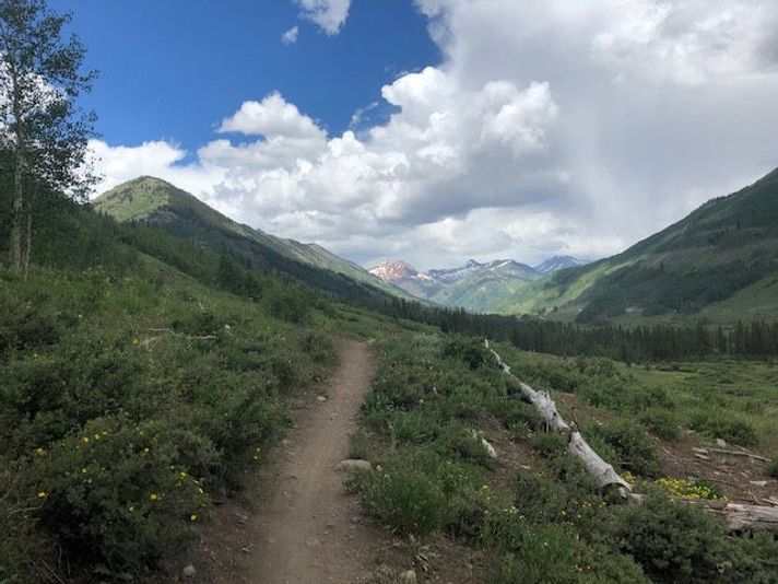 Rocky Mountain National Park & Estes Park Private Day Tour - Image 6