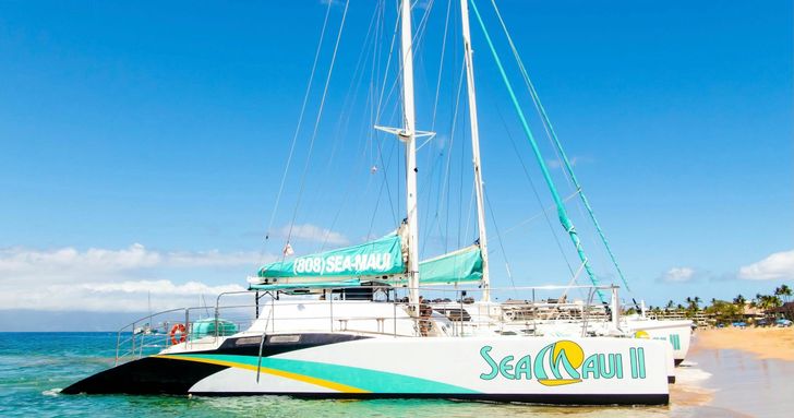 Maui Whale Watching Tour - Image 2