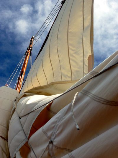 Sail the Chesapeake on a Historic Yacht - Image 4