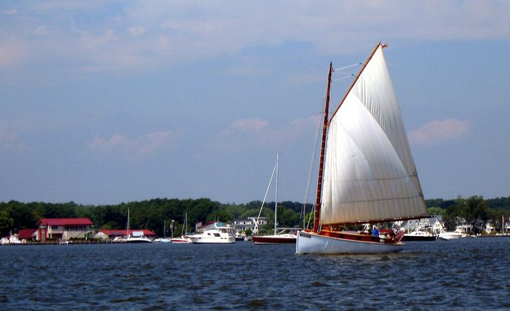 Sail the Chesapeake on a Historic Yacht - Image 7