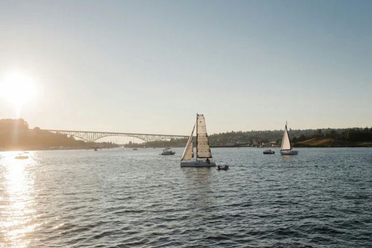 Seattle Summer Sunset & Wine Cruise - Image 3