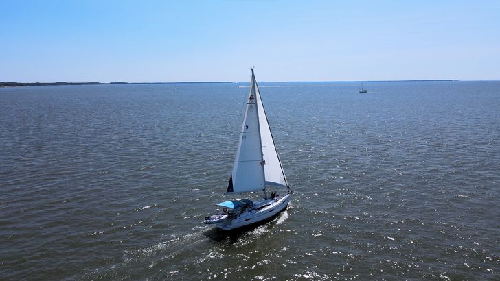 Chesapeake Bay Sunset Sailing Charter for up to 6 - Image 6