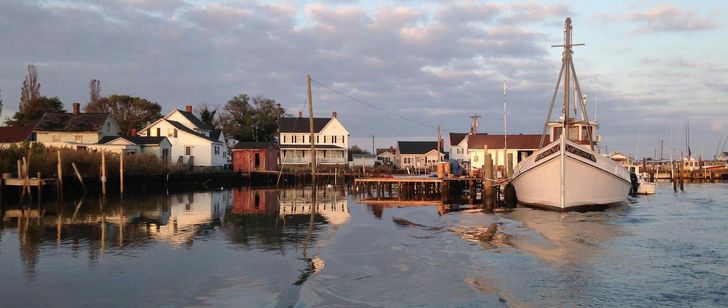 Half Day Sailing Charter on the Chesapeake Bay for up to 6 - Image 5