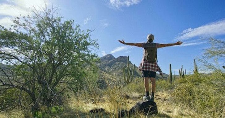 Scottsdale Desert Classic Hiking Adventure