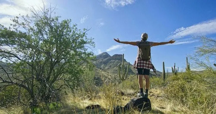 Scottsdale Desert Classic Hiking Adventure