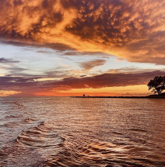 Sunset  Dolphin Cruise of Anna Maria island - Image 6