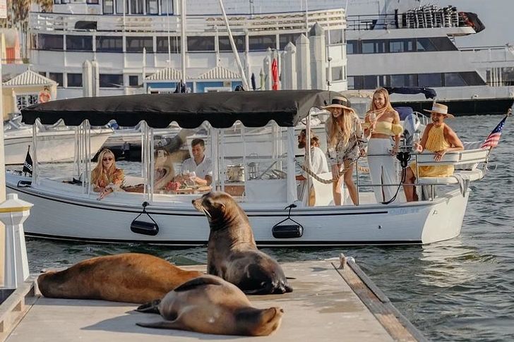 Luxury Cruise with Wine, Charcuterie & Sea Lions Spotting - Image 2