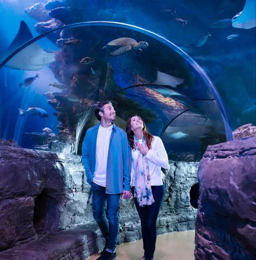 SEA LIFE Orlando Aquarium Admission