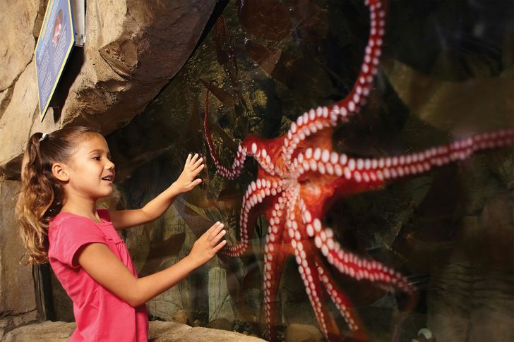 LEGOLAND® California Resort with Water Park & SEA LIFE Aquarium 2-Day Admission - Image 5