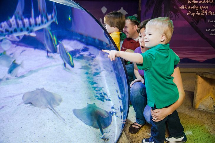 SEA LIFE Orlando Aquarium Admission - Image 4