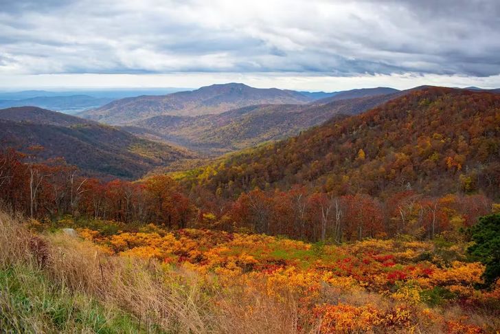 Romantic  Private Hot Air Balloon Ride Over Shenandoah - Image 4