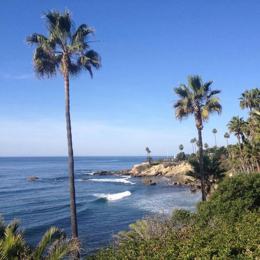 Whale Watching & Beach Tour from Anaheim - Image 1