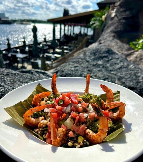 Rainforest Cafe Gift Card - Image 7