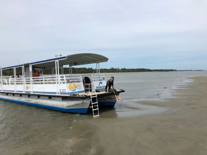 Hilton Head Dolphin Tour to Disappearing Island