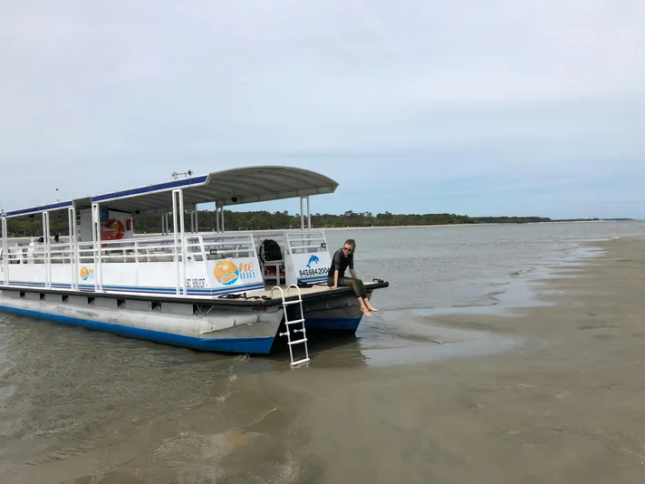 Hilton Head Dolphin Tour to Disappearing Island