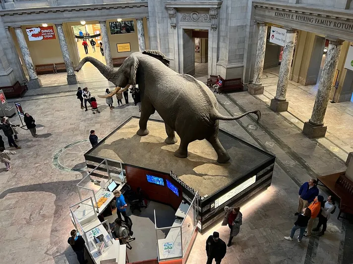 Smithsonian American Art Museum Private Tour