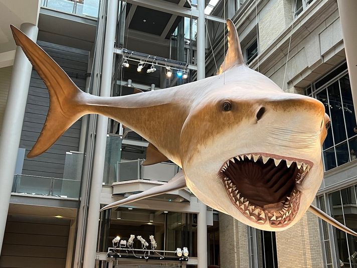 Smithsonian American Art Museum Private Tour - Image 2