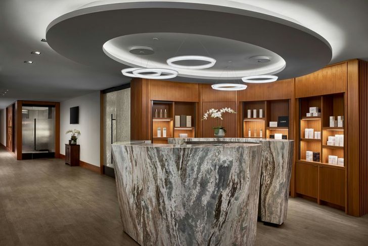 The Ritz-Carlton Chicago Spa Experience - Image 2