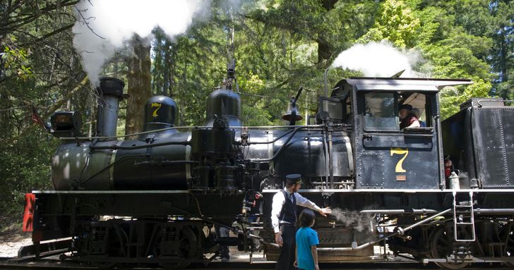 Redwood Forest Steam Train Ride - Image 2