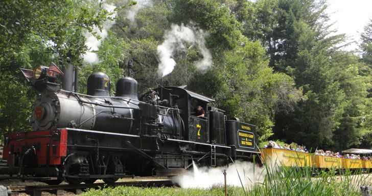 Redwood Forest Steam Train Ride - Image 4